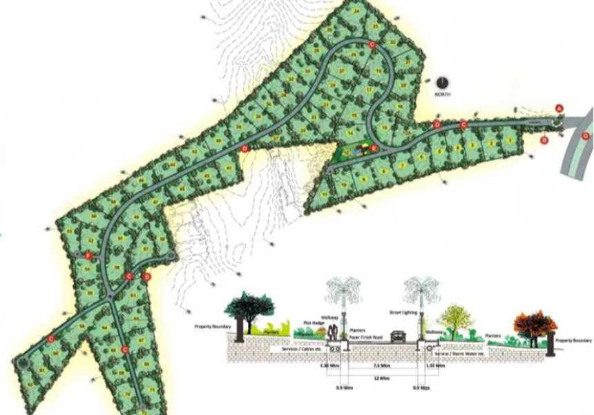 Residential Plots in the Serene Locale of Chandkhed, Pune with Great Investment Potential – 86 Banyan Tree